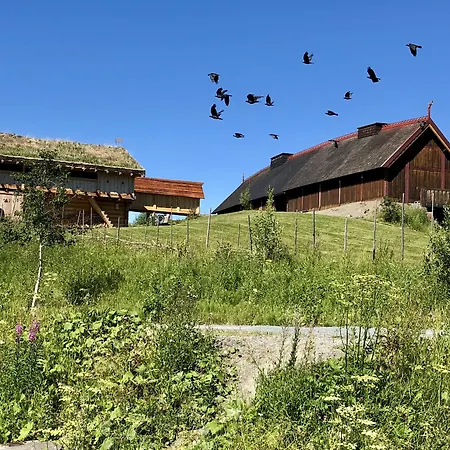 Scandic Stiklestad فندق فيردال